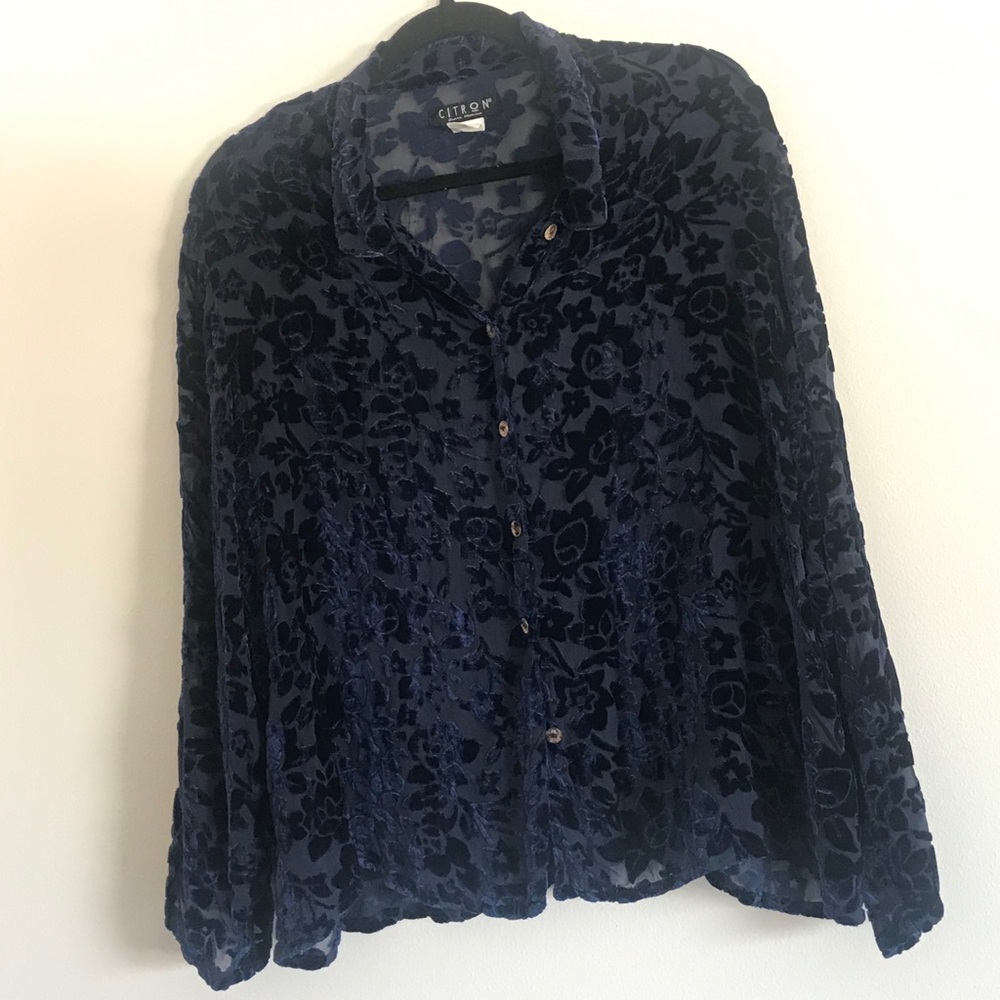 Citron Santa Monica button down blouse